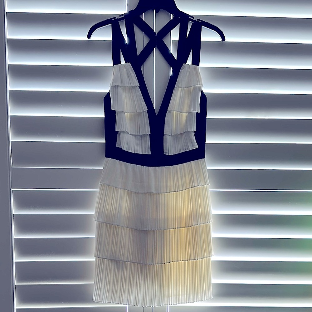 BCBGMaxAzria Black and Cream Backless Dress